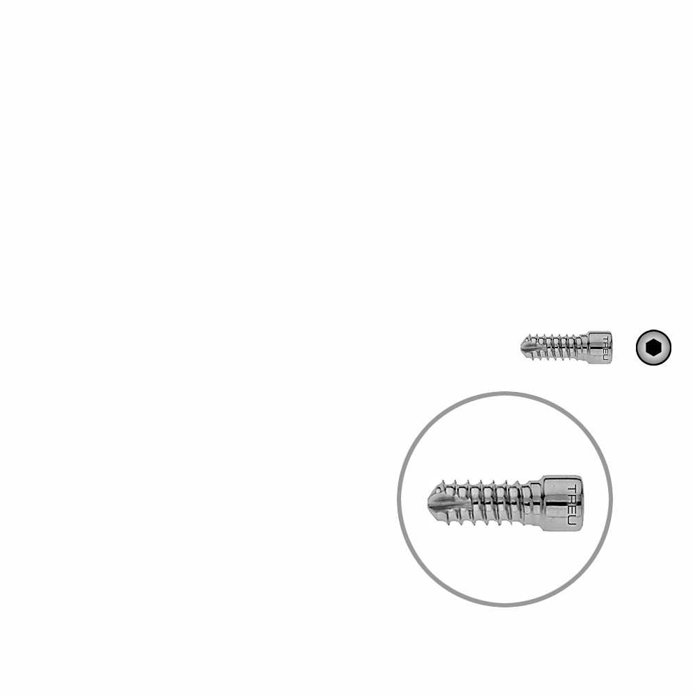 V-Bolzen Femurnagel 20mmx dia 6,4mm 