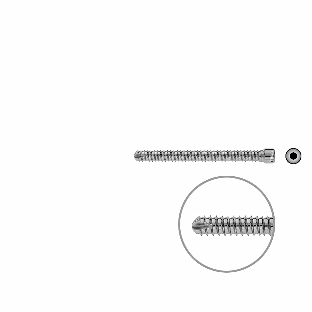 V-Bolzen Femur 68mmx dia 6,4mm 