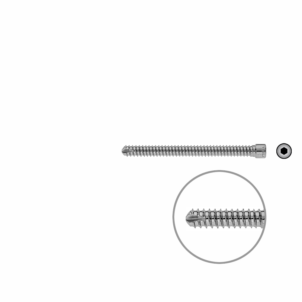 V-Bolzen Femur 72mmx dia 6,4mm 