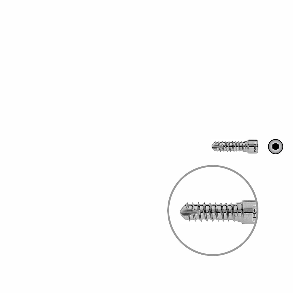 V-Bolzen Femur 24mmx dia 6,4mm 