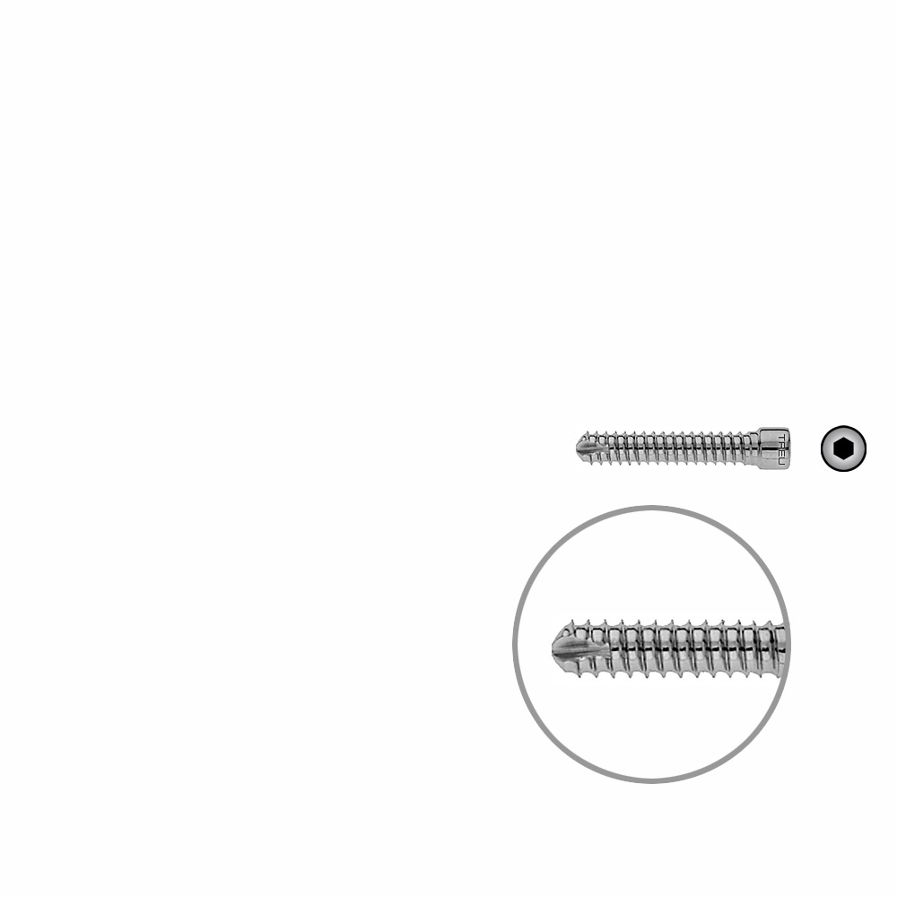 V-Bolzen Femur 36mmx dia 6,4mm 