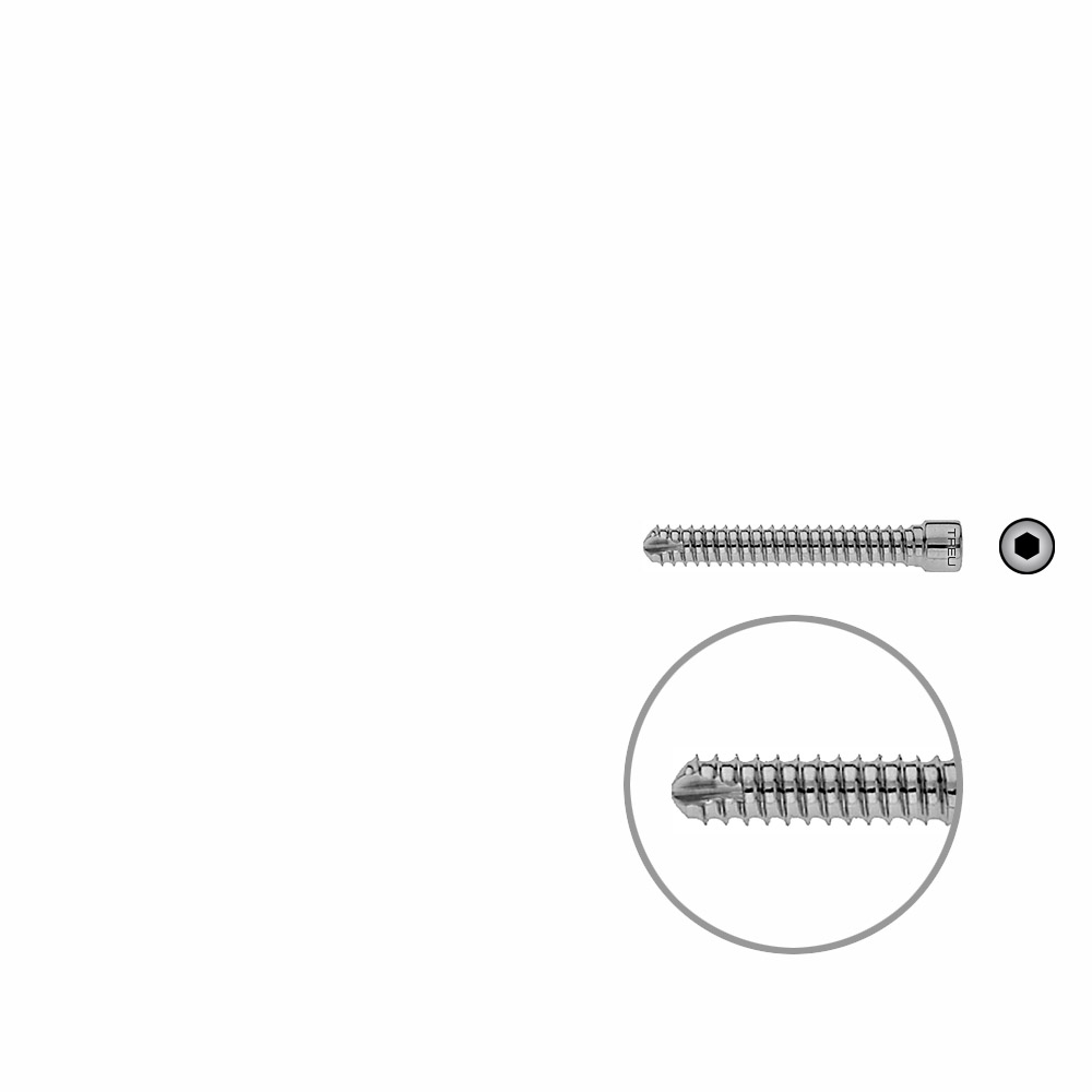 V-Bolzen Femur 44mmx dia 6,4mm 