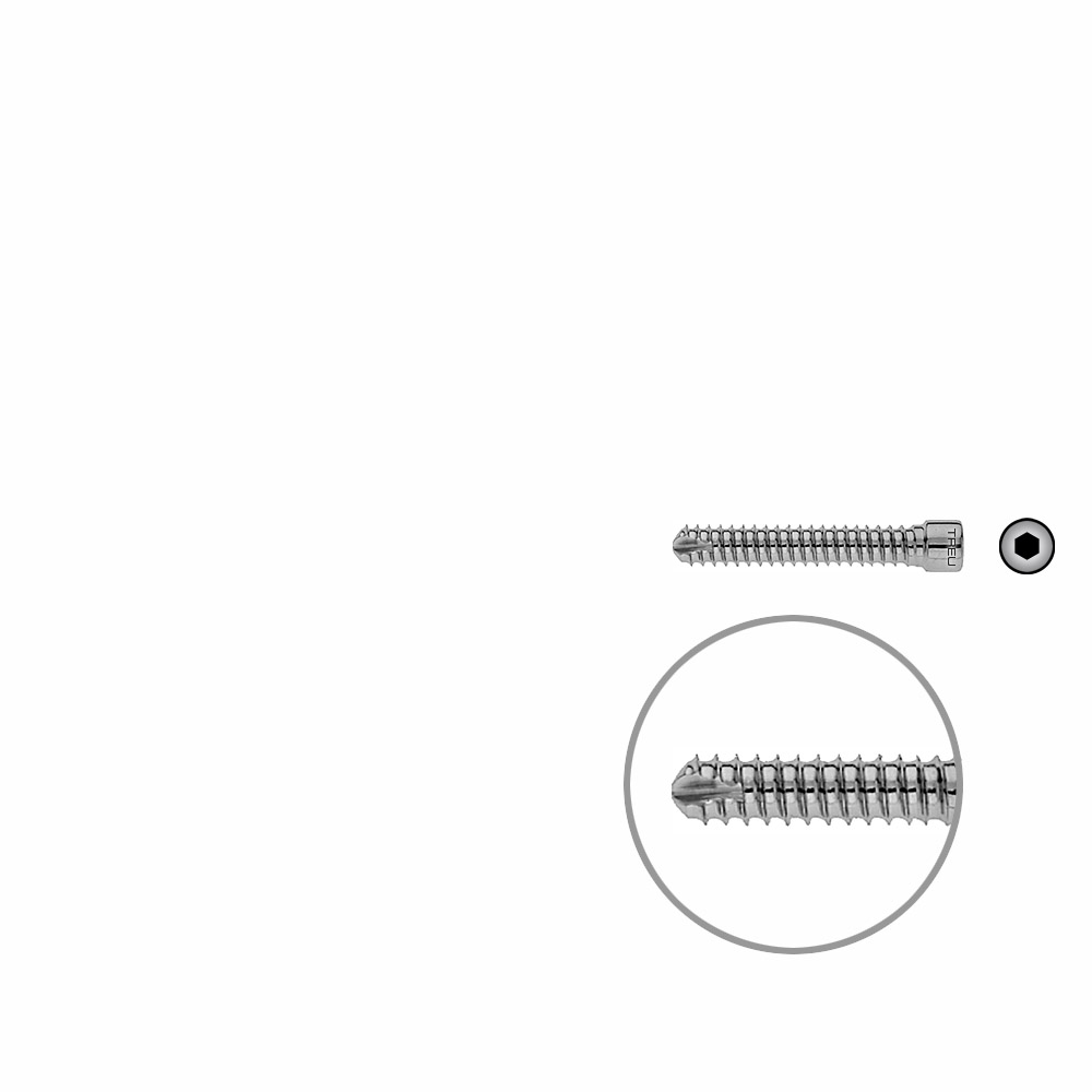 Femoral Locking Bolt 40mm x dia 6,4 