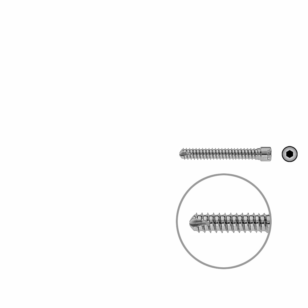 Femoral Locking Bolt 45mm x dia 6,4 