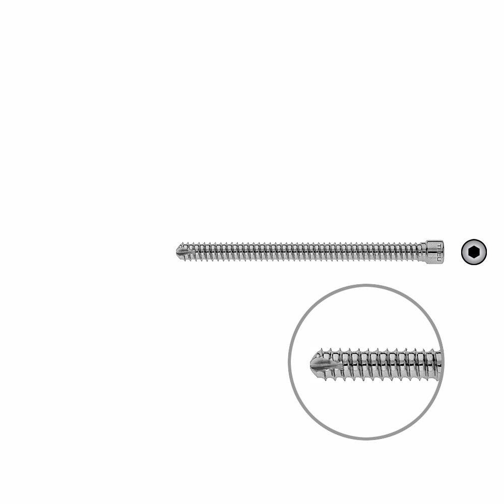 V-Bolzen Femur 80mmx dia 6,4mm 