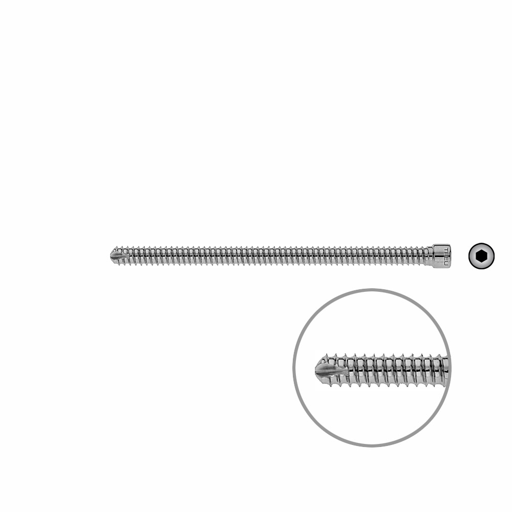 Femoral Locking Bolt 100mm x dia 6,4 