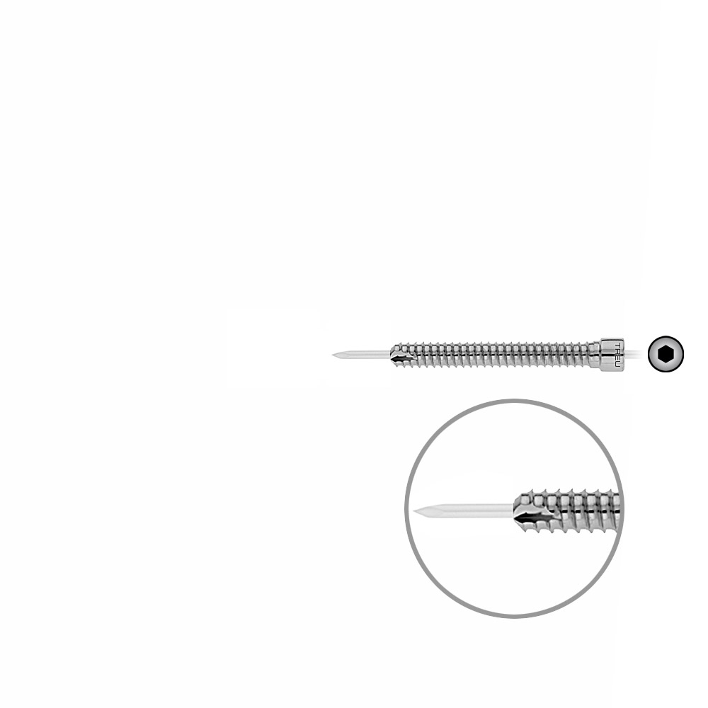 Locking Bolt cannul. 50mm x dia 6,4 