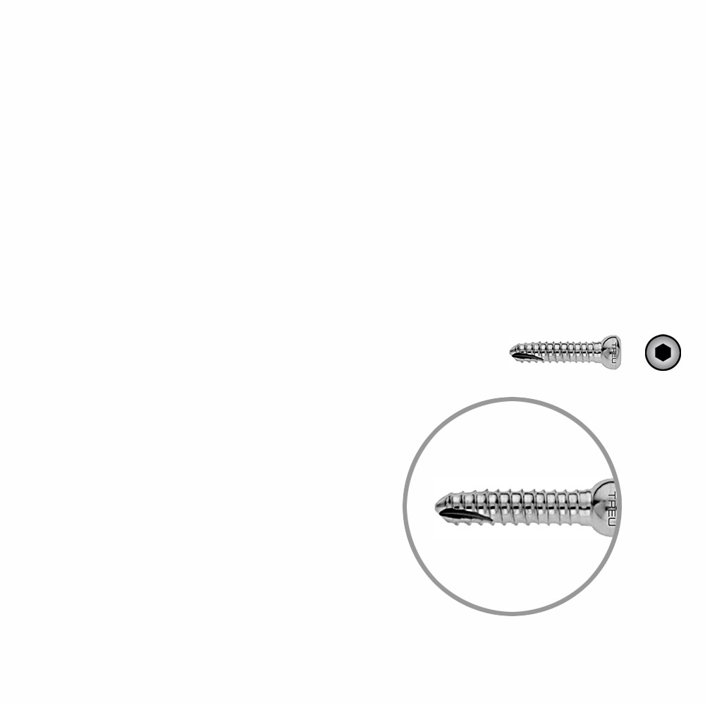 V-Schraube Femur 24mm x dia 5mm 