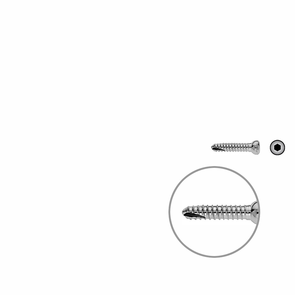 V-Schraube Femur 25mm x dia 5mm 