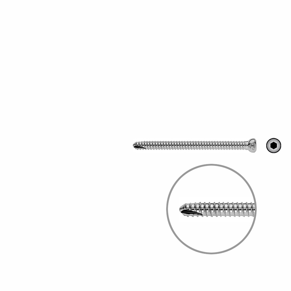 V-Schraube Femur 64mm x dia 5mm 