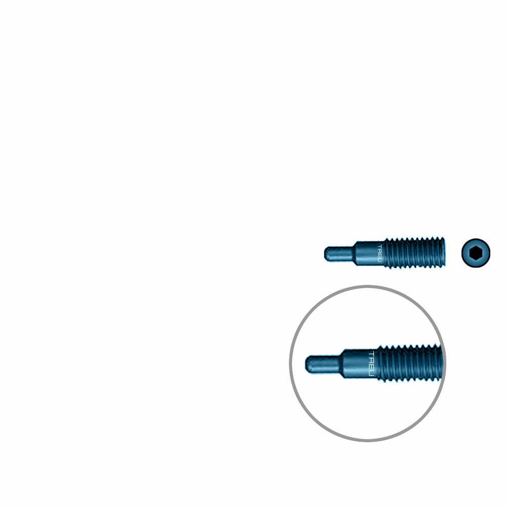 Blocking Screw for FIDES Troch. Nail TI 