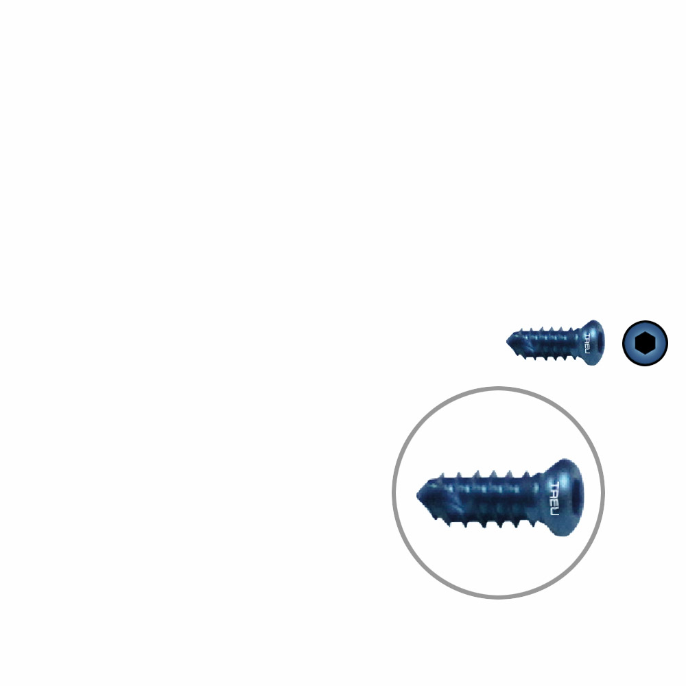 FIDES Humer.Lock. Screw10mm x dia 4,0mm Titanium 