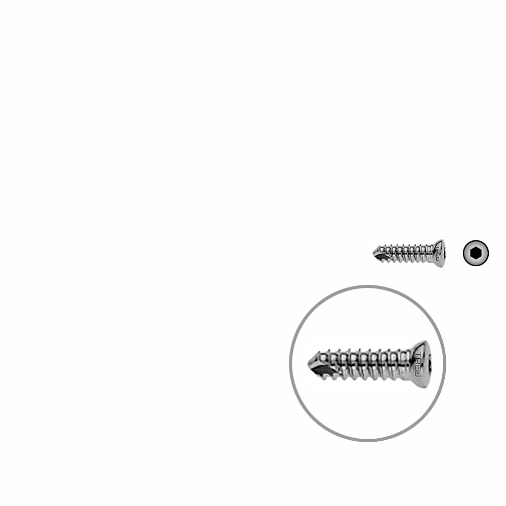 Humer.Locking Screw14mm x dia 4,0mm 