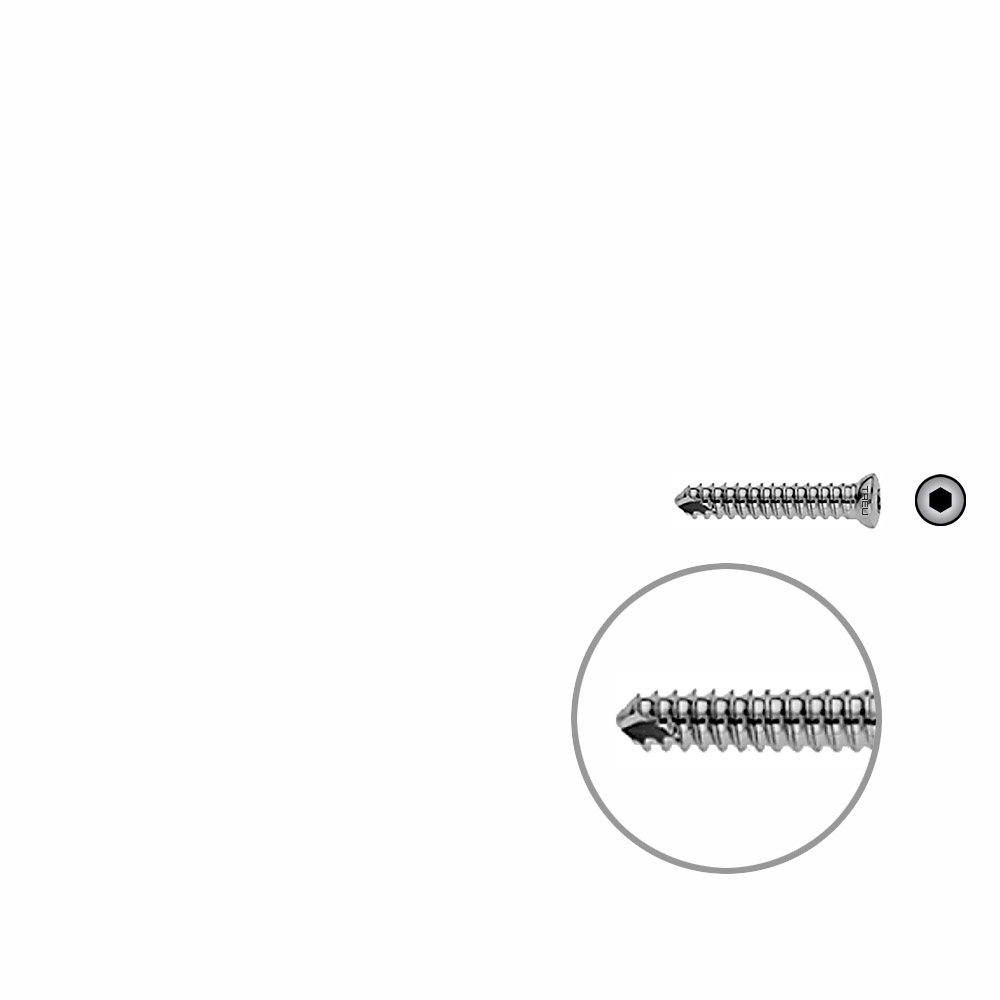 V-Schraube Humerus 20mm x dia 4,0mm 