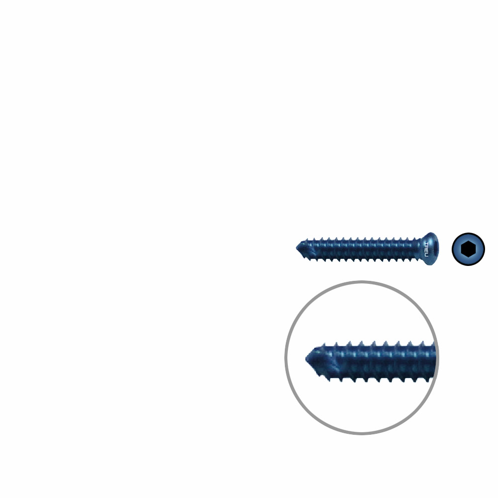 FIDES V-Schraube Humerus 20mm x 4,0mm TITAN 