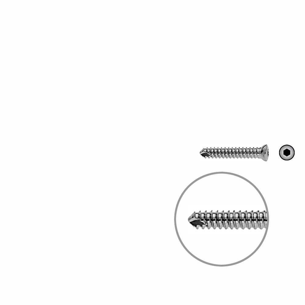 V-Schraube Humerus 22mm x dia 4,0mm 