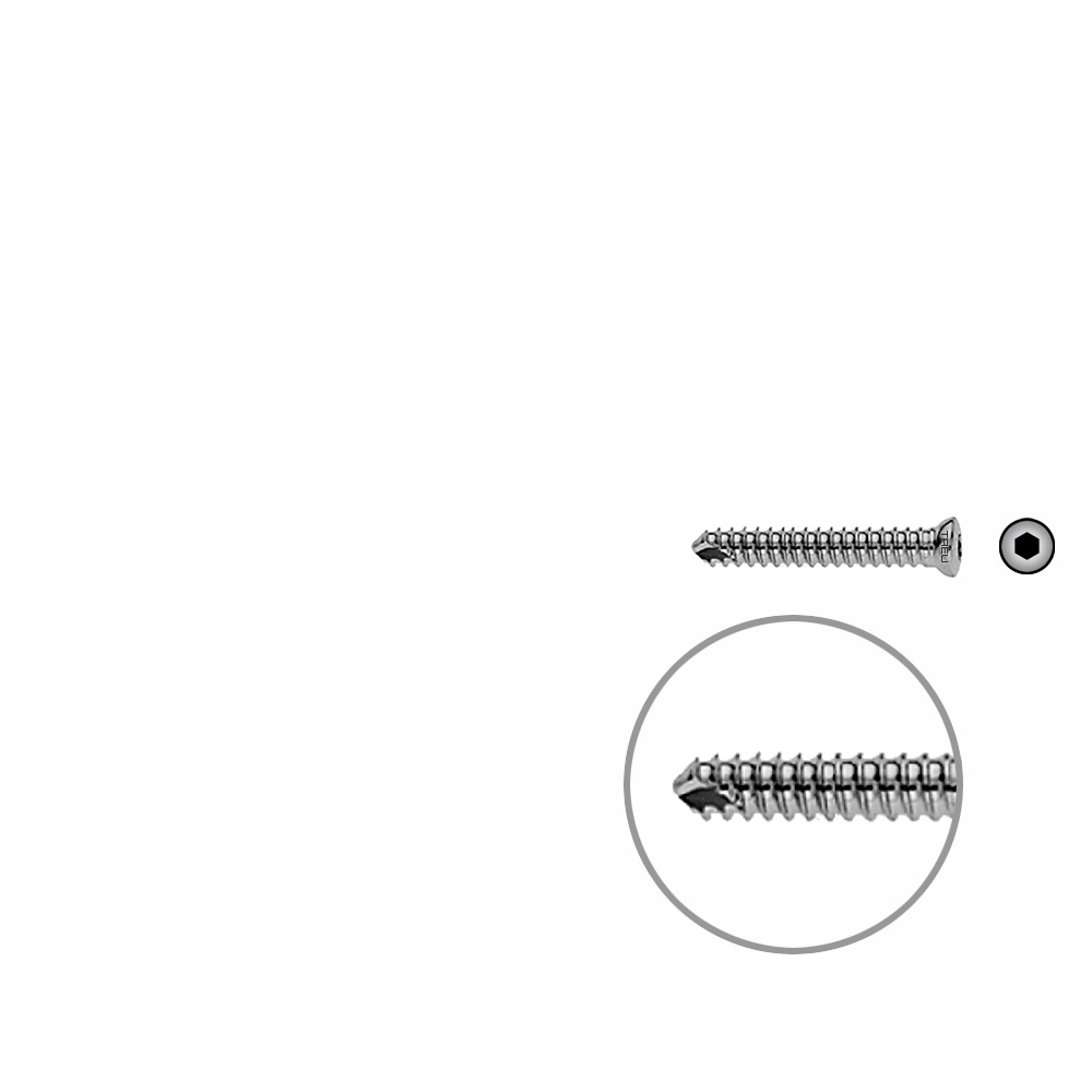 V-Schraube Humerus 24mm x dia 4,0mm 