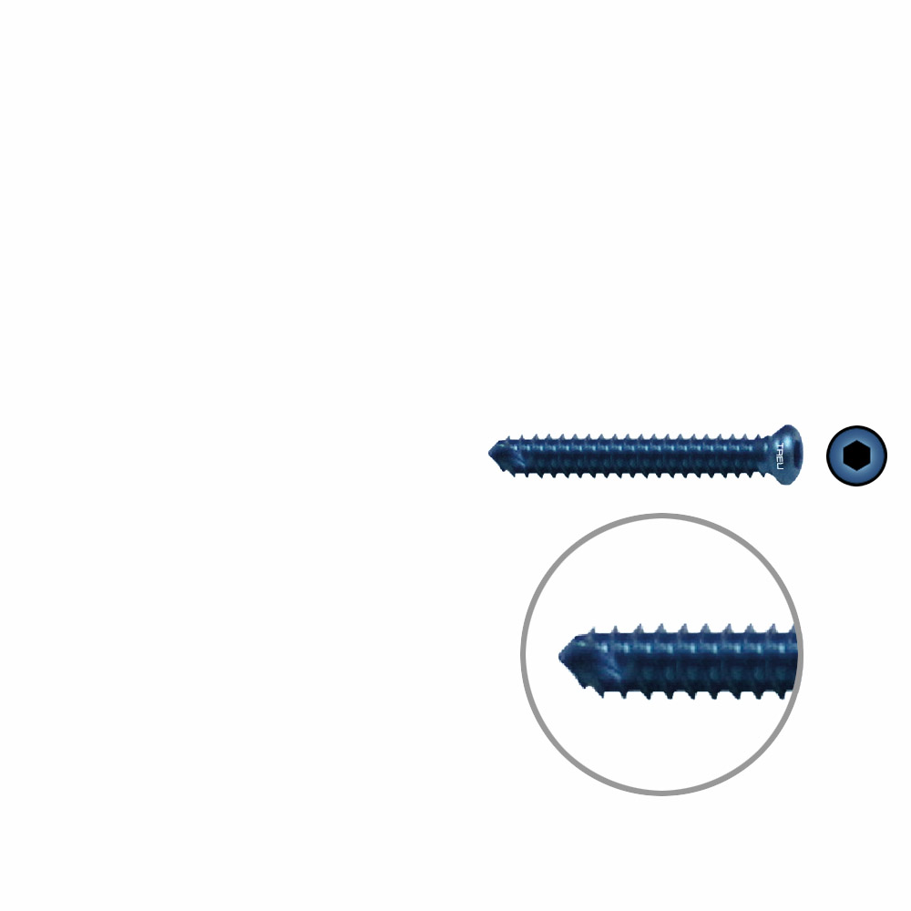 FIDES V-Schraube Humerus 24mm x 4,0mm TITAN 