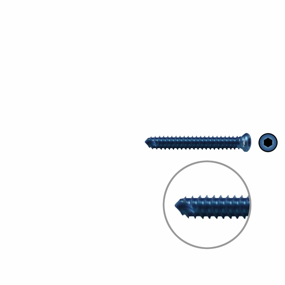 FIDES V-Schraube Humerus 26mm x 4,0mm TITAN 