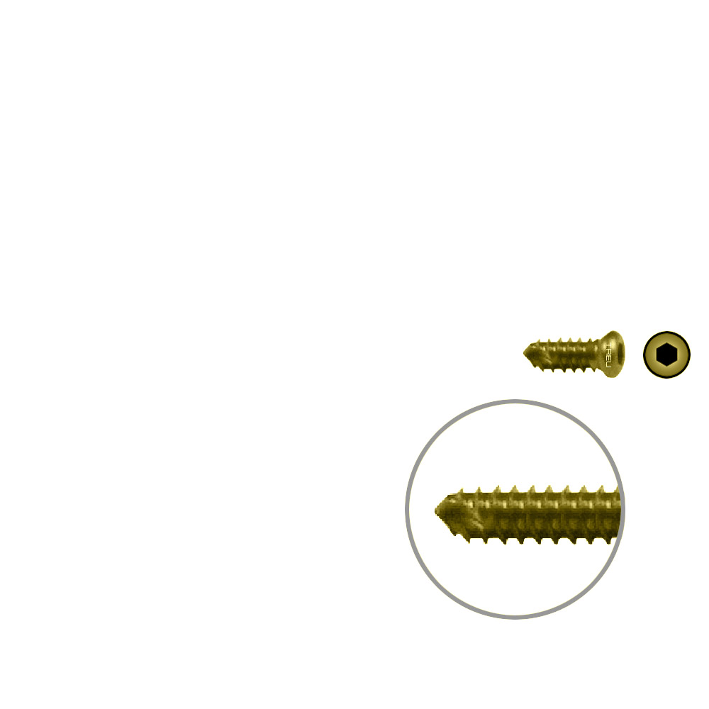 FIDES Humer.Lock. Screw10mm x dia 3,5mm TI 