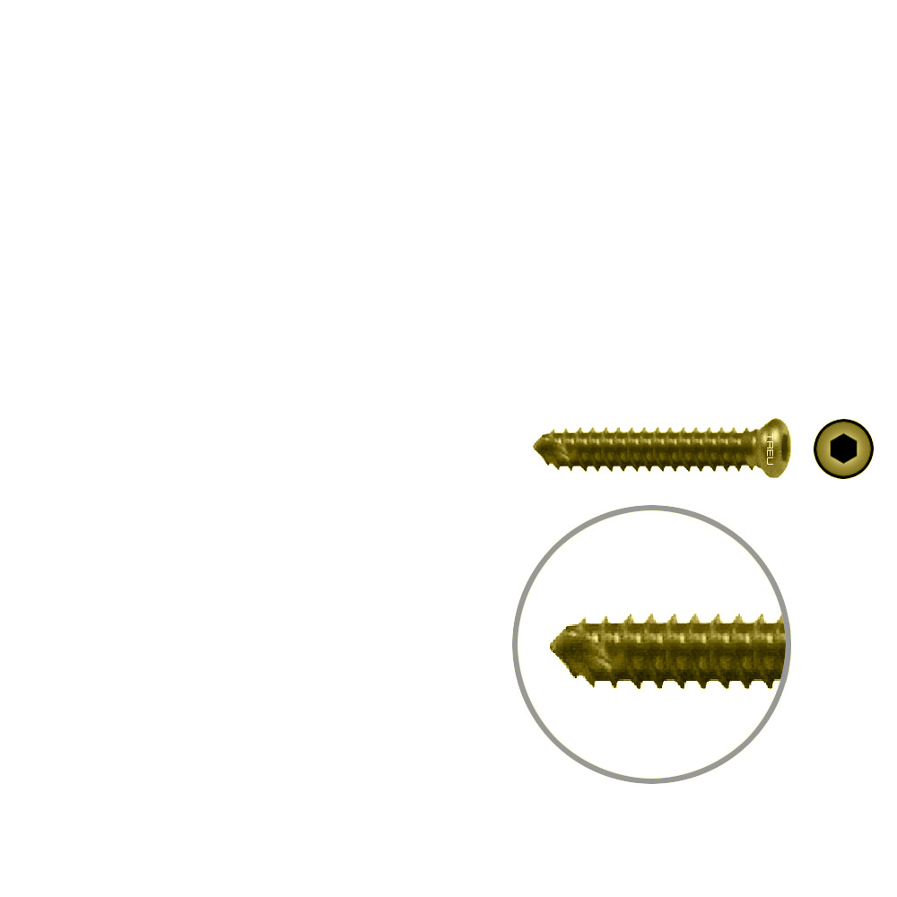 FIDES V-Schraube Humerus 20mm x 3,5mm TITAN 