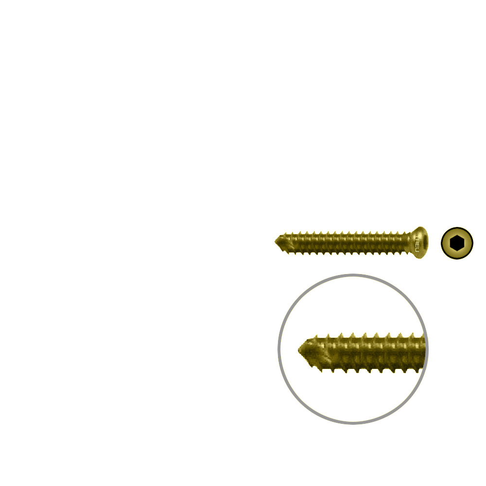 FIDES V-Schraube Humerus 22mm x 3,5mm TITAN 