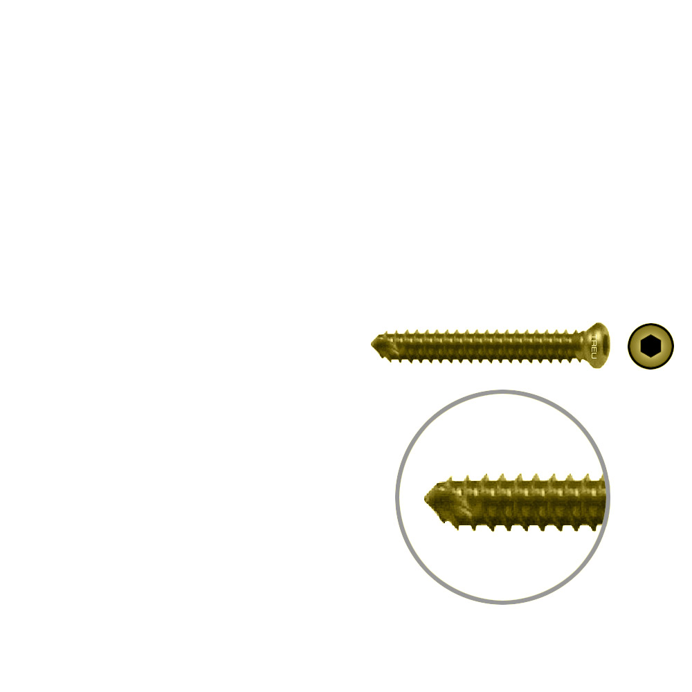 FIDES V-Schraube Humerus 24mm x 3,5mm TITAN 