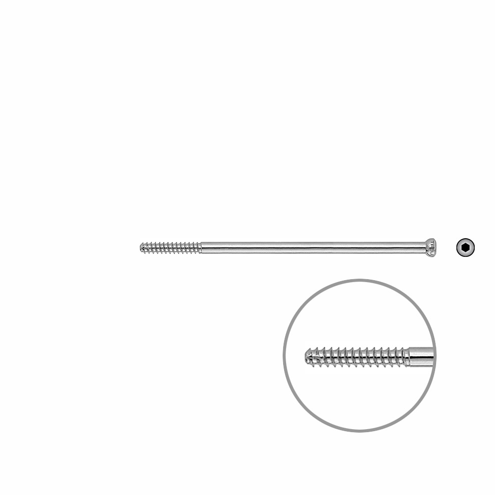 D.N.S. Lag Screw 90mm x dia 5mm 