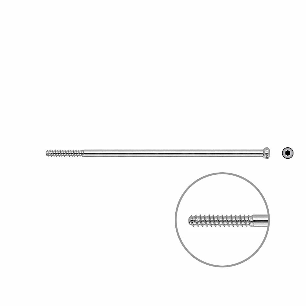 D.N.S. Lag Screw 110mm x dia 5mm 