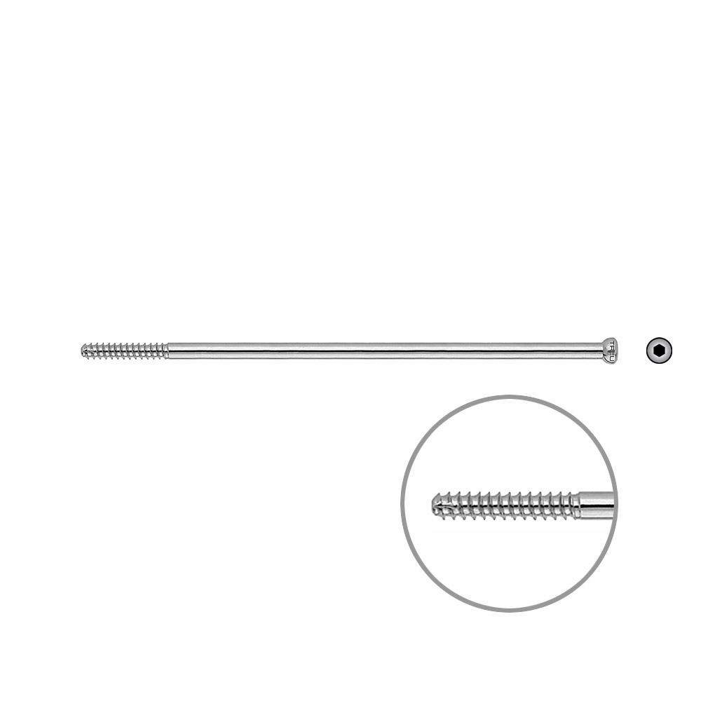 D.N.S. Zugschraube 115mm x dia 5mm 