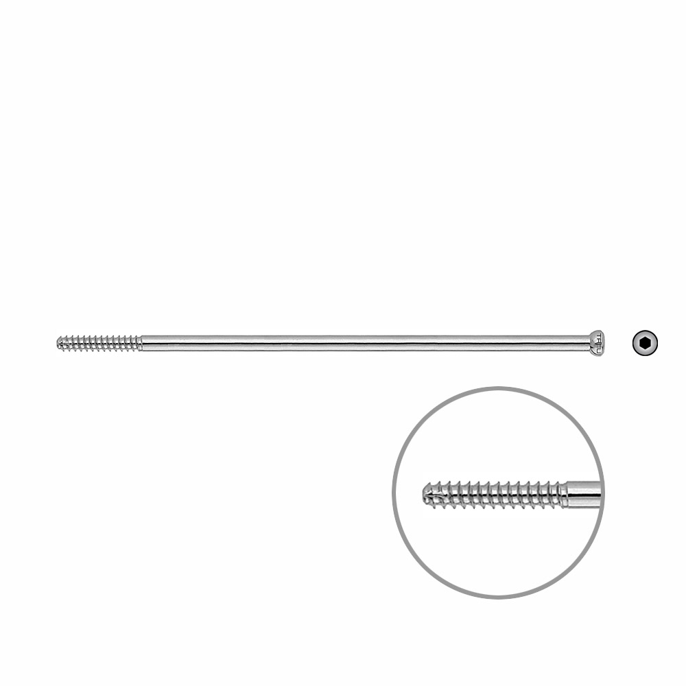 D.N.S. Zugschraube 120mm x dia 5mm 