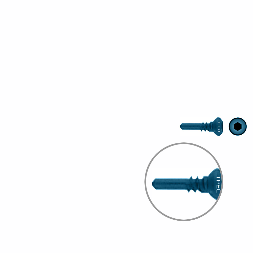 Dist. Ulna/Radius Screw Titan Ø 2,7mm / Ø 1,9mmx 10,0mm 