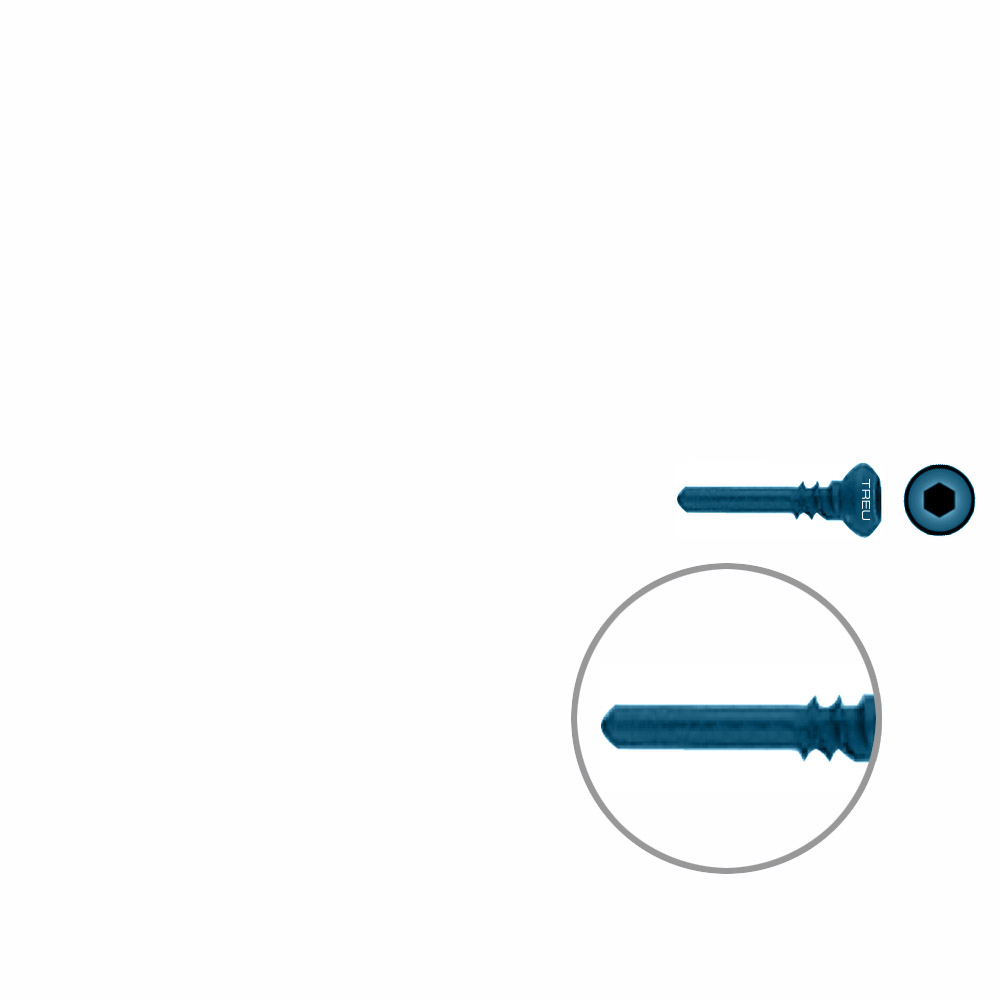 Dist. Ulna/Radius Screw Titan Ø 2,7mm / Ø 1,9mm x 12,0mm 