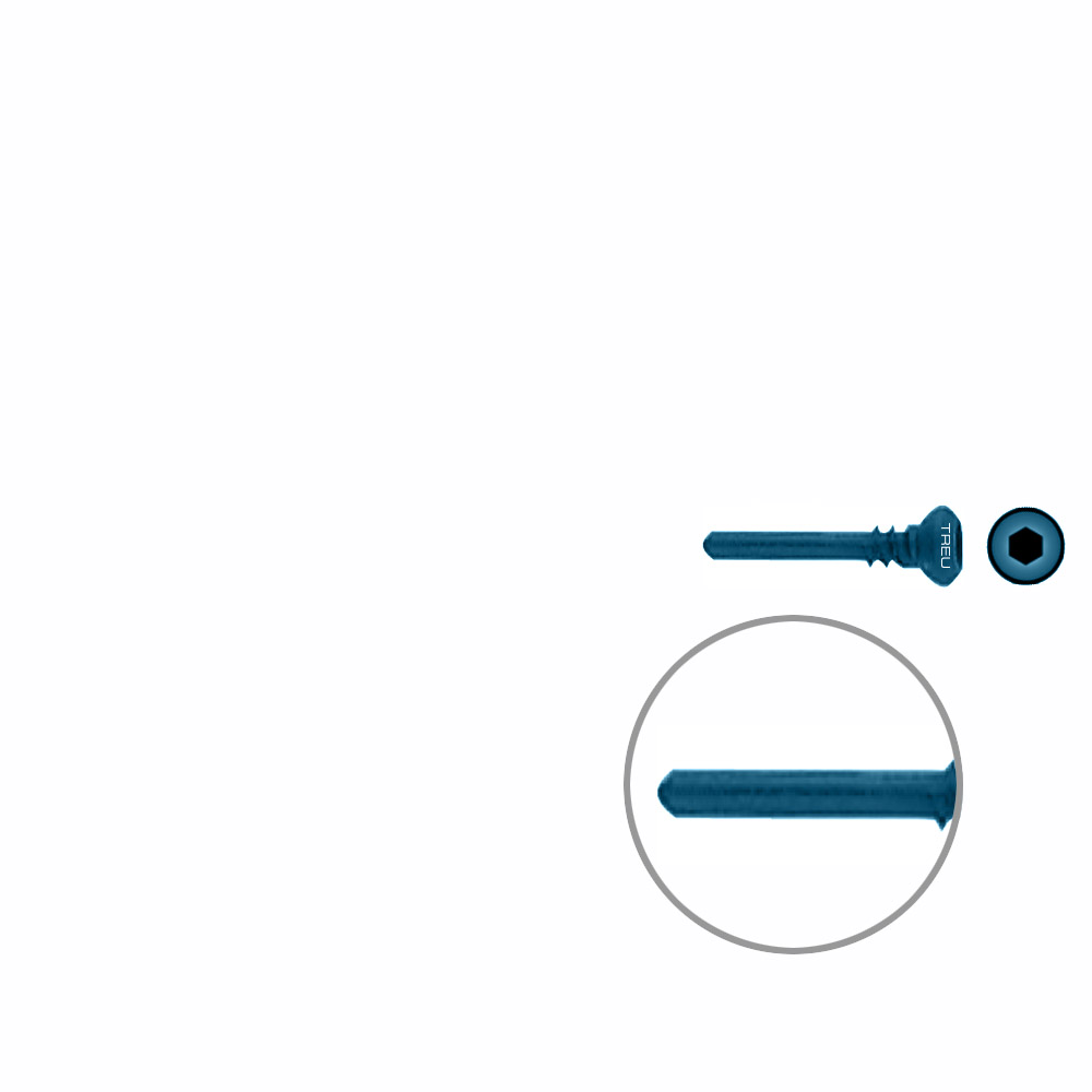 Dist. Ulna/Radius Schraube Titan Ø 2,7/1,9mm x 14,0mm 