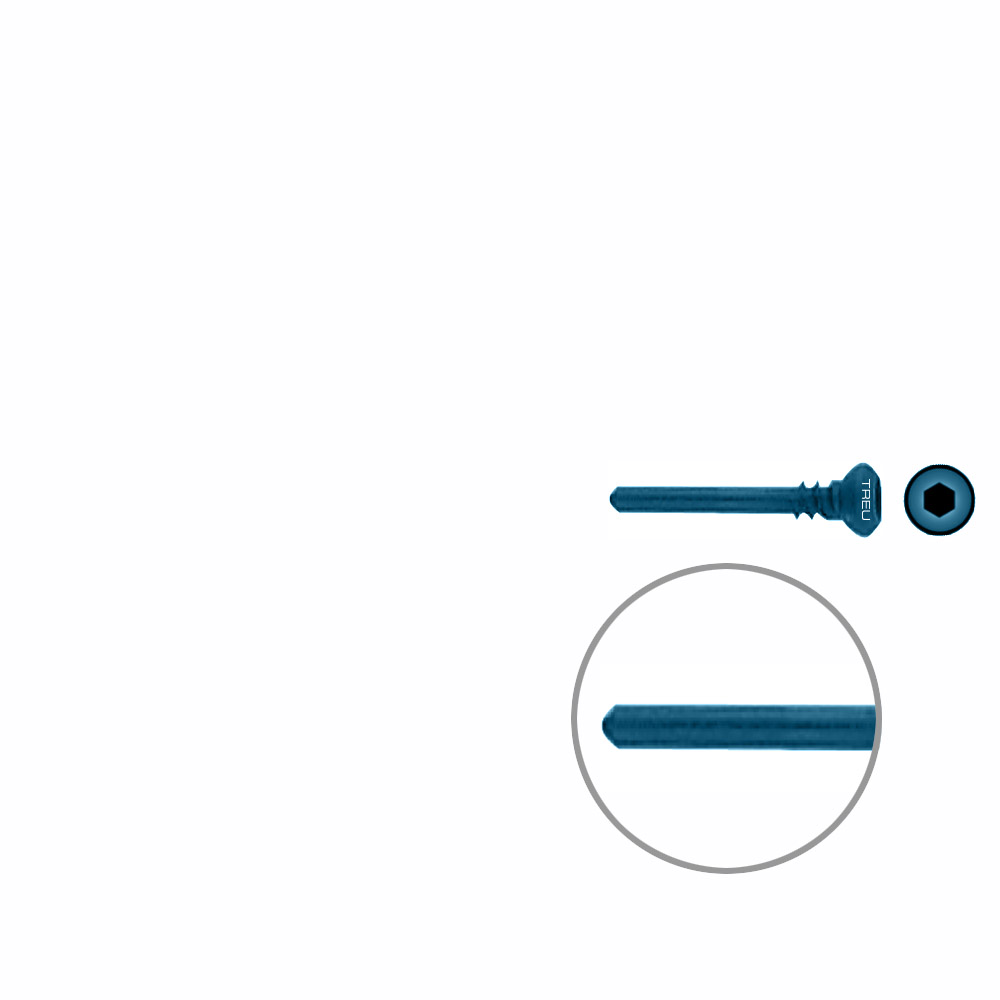 Dist. Ulna/Radius Screw Titan Ø 2,7mm / 1,9mm x 16,0mm 
