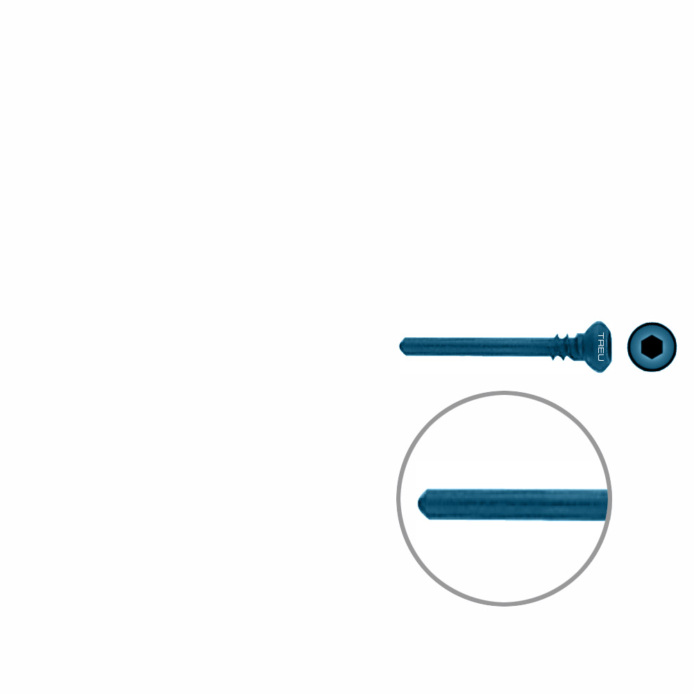 Dist. Ulna/Radius Screw Titan Ø 2,7mm / Ø 1,9mm x Length 18,0mm 