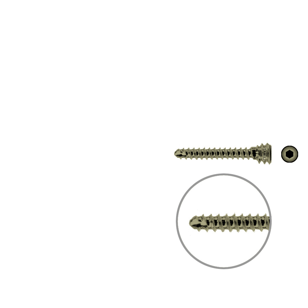 Humeral locking screw Ø 4,5, length 22 mm, TITAN 