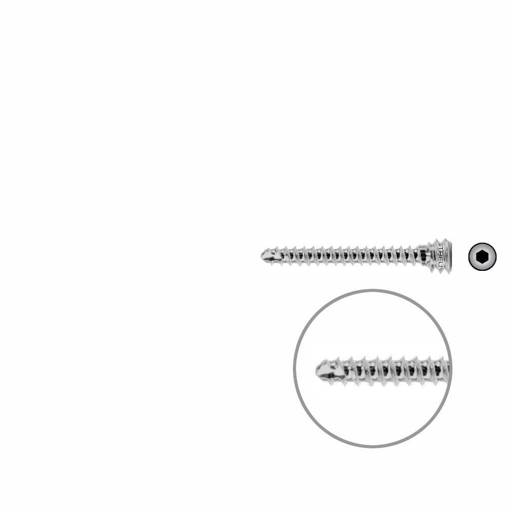 Humeral locking screw Ø 4,5mm x 26mm 