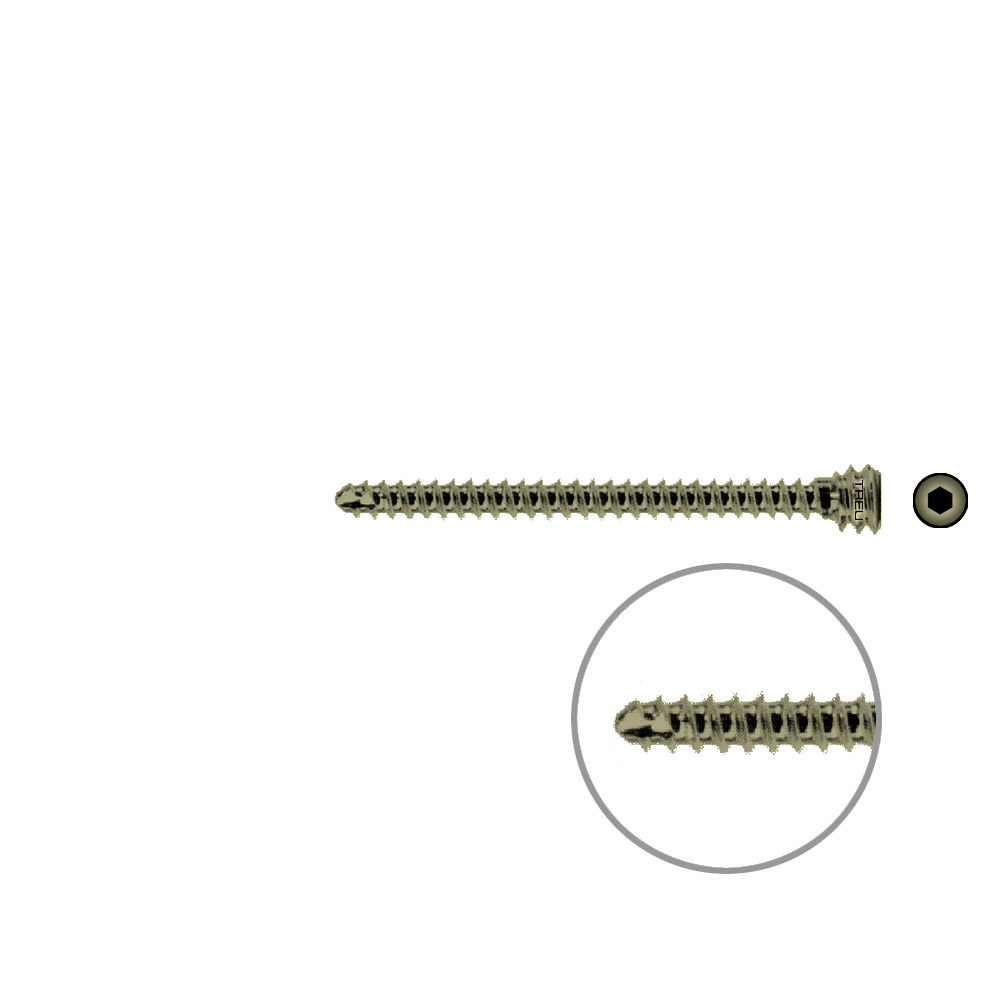 Humeral locking screw Ø 4,5, length 38 mm, TITAN 