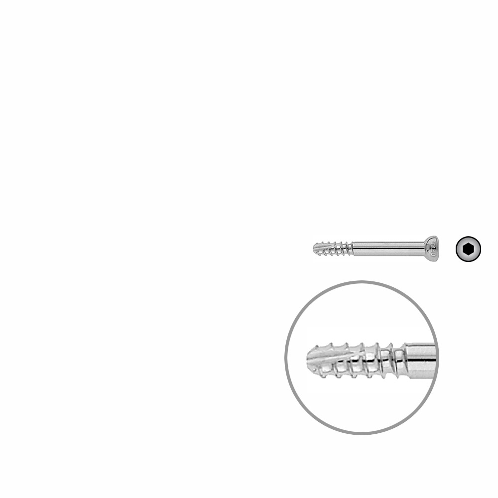 Schaftschraube 4,5 x 38mm selbstschneidend 