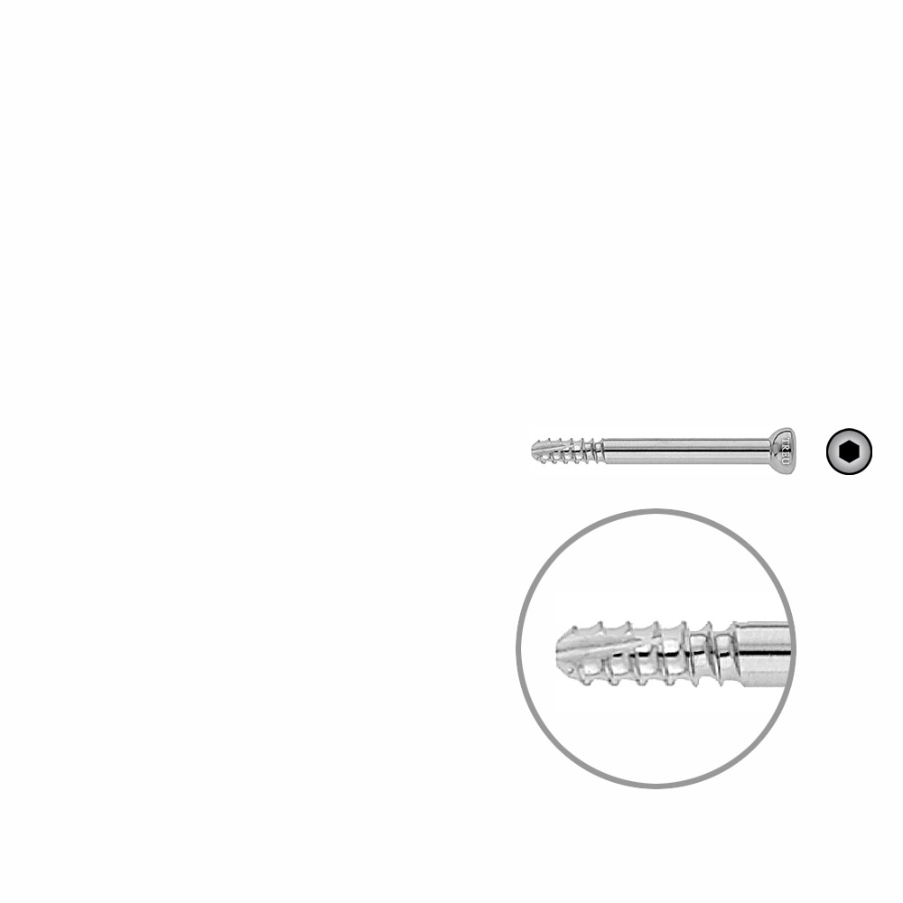 Schaftschraube 4,5 x 44mm selbstschneidend 