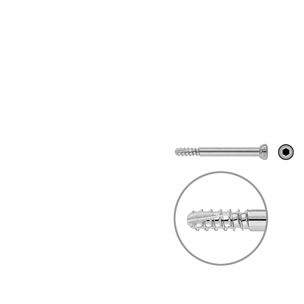 Schaftschraube 4,5 x 46mm selbstschneidend 