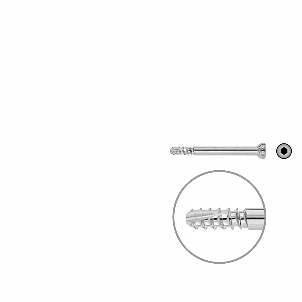 Schaftschraube 4,5 x 48mm selbstschneidend 