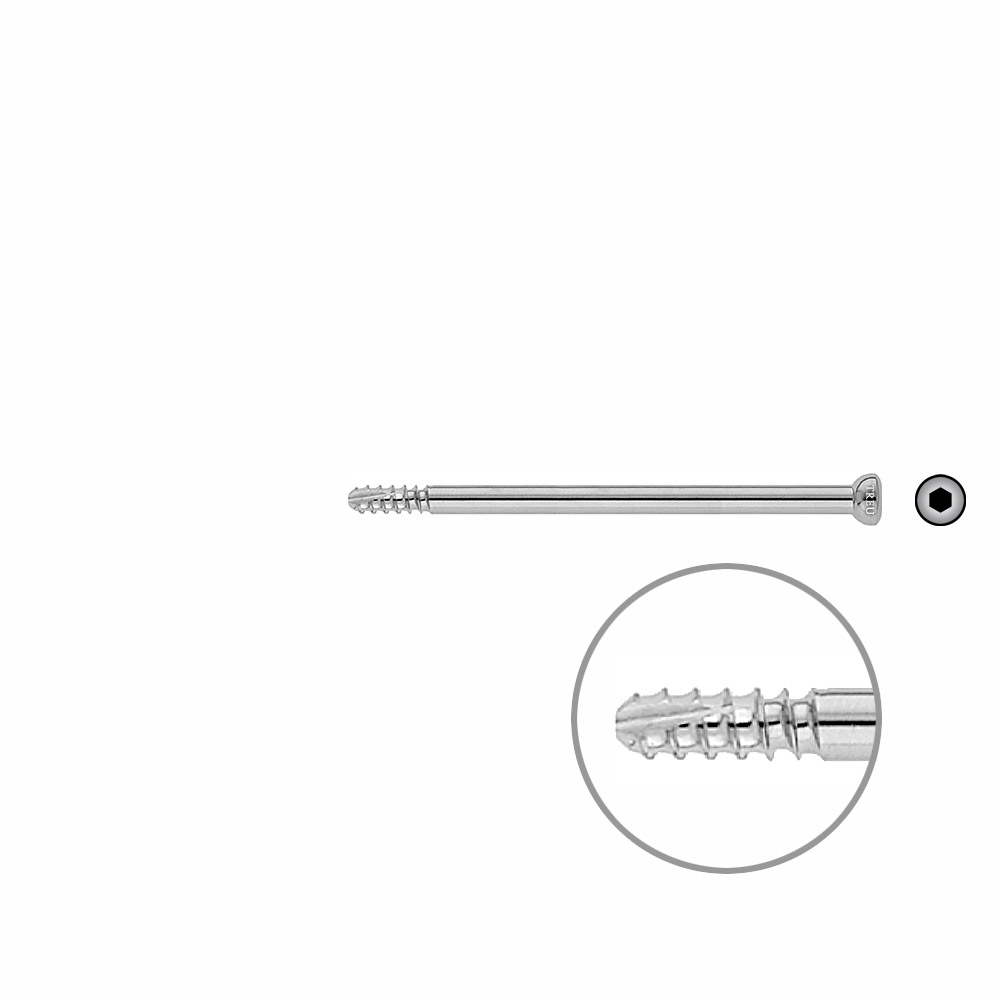 Schaftschraube 4,5 x 80mm selbstschneidend 