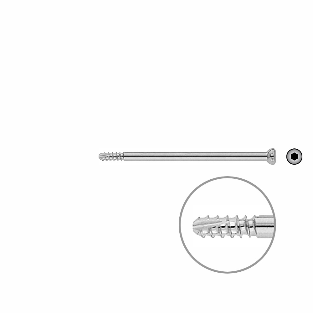 Schaftschraube 4,5 x 85mm selbstschneidend 