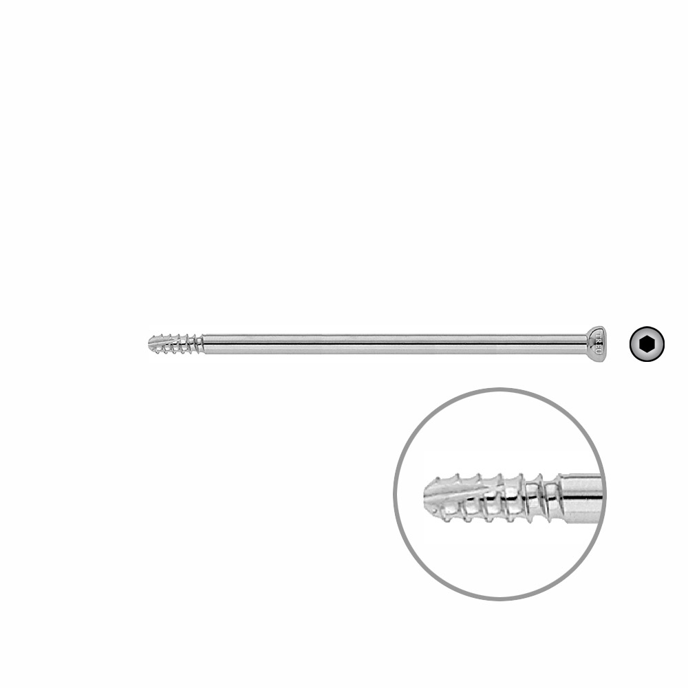 Schaftschraube 4,5 x 100mm selbstschneidend 