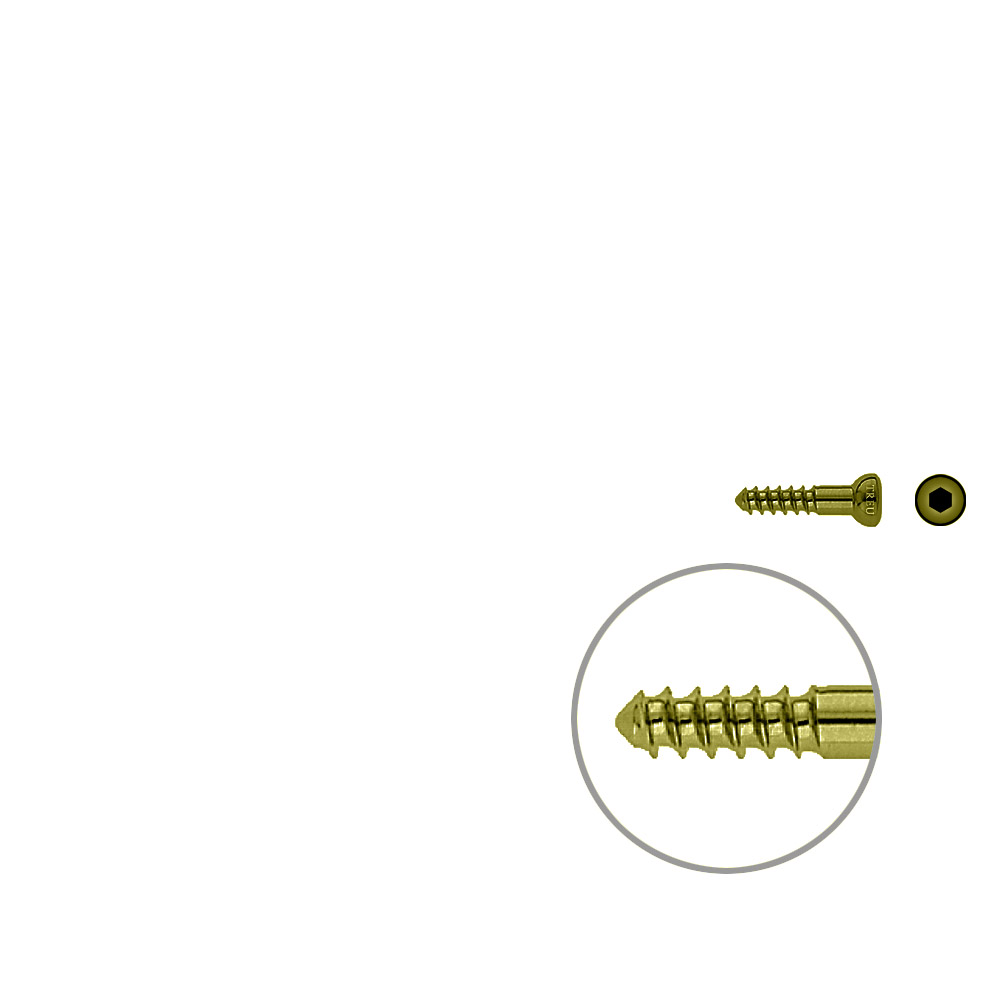 Schaftschraube 4,5x 22mm TITAN 