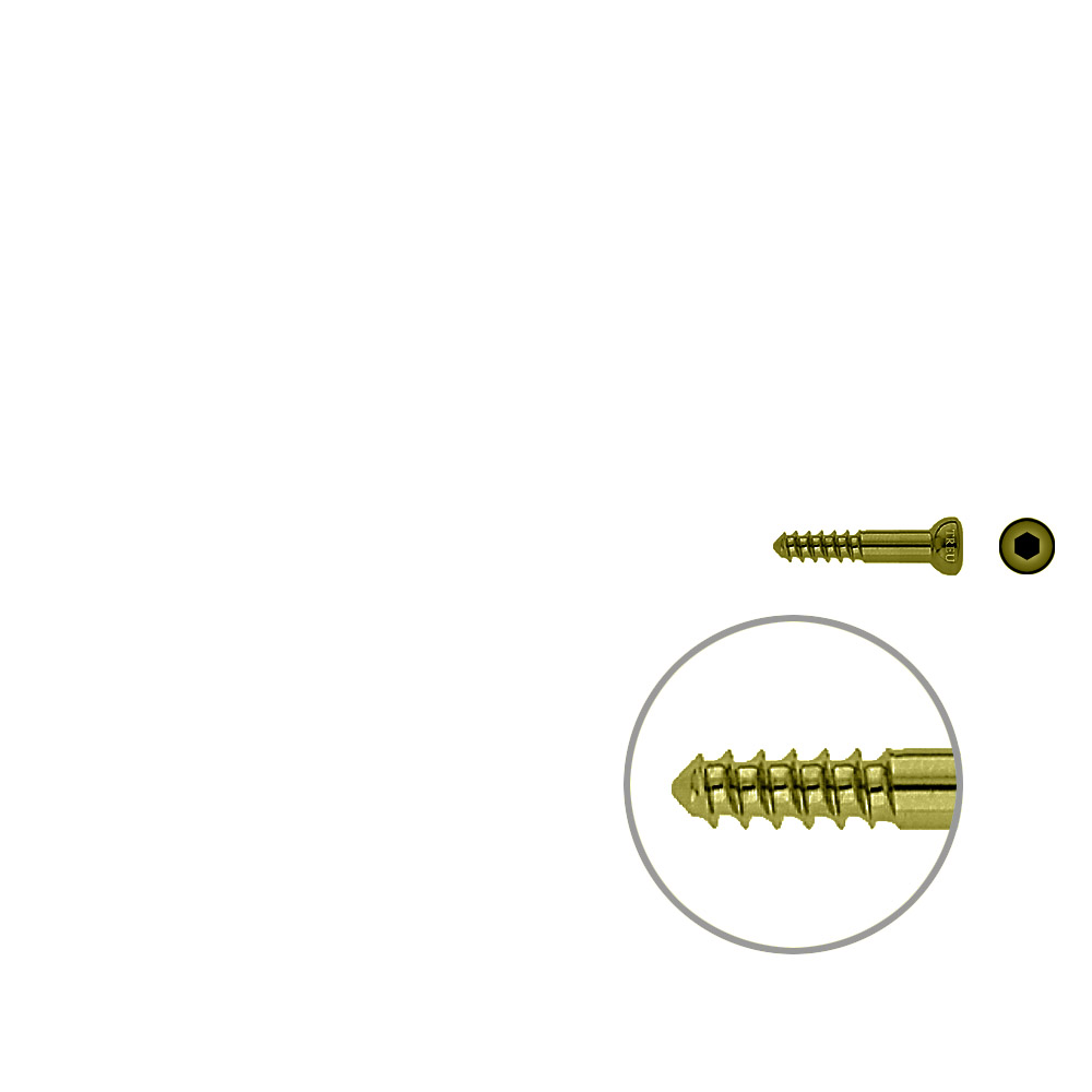 Schaftschraube 4,5x 26mm TITAN 