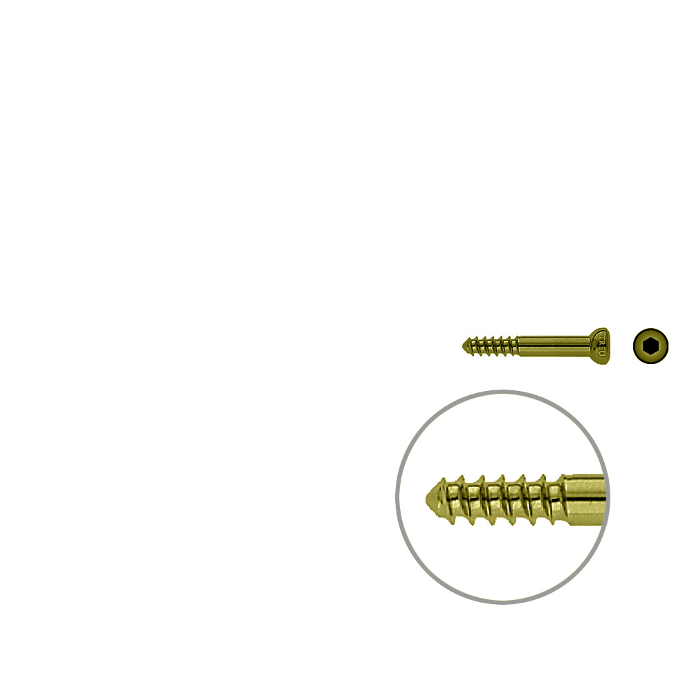 Schaftschraube 4,5x 32mm TITAN 