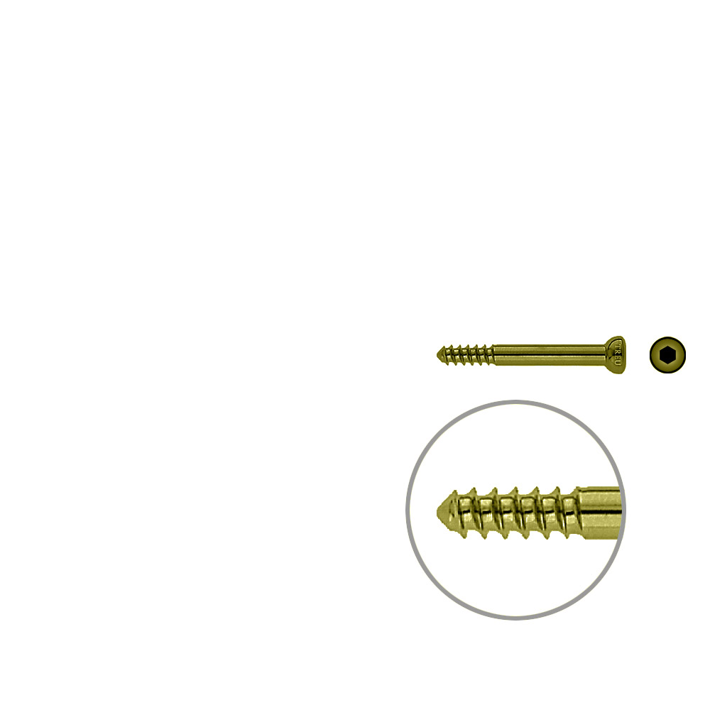 Schaftschraube 4,5x 40mm TITAN 